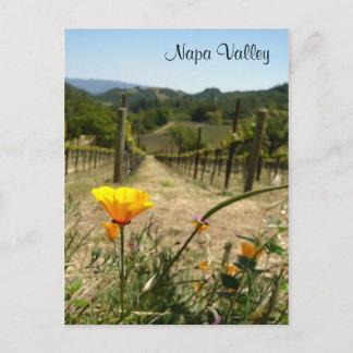 Napa Valley Spring Briefkaart