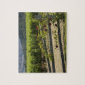 Napa Valley Vineyard en Rozen Legpuzzel (Verticaal)