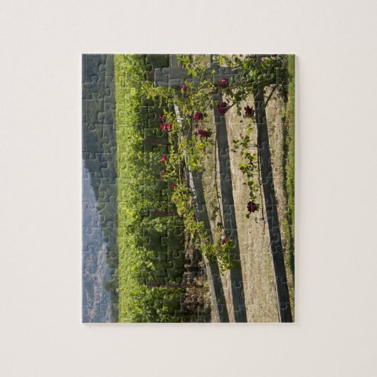 Napa Valley Vineyard en Rozen Legpuzzel (Verticaal)