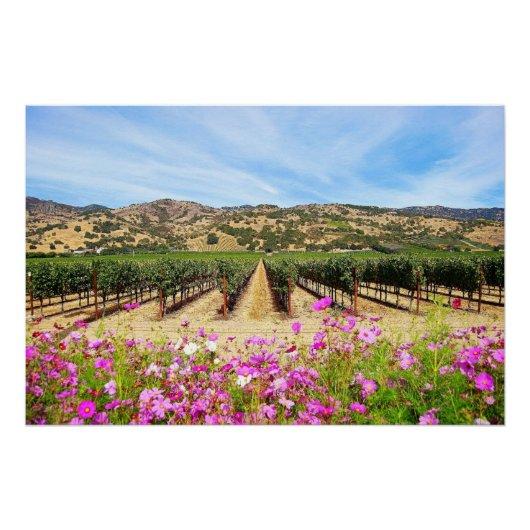 Napa Valley Vineyard met Cosmos Perfect Poster (Voorkant)