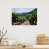 Napa Valley Vineyard Poster (Keuken)
