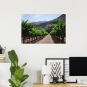 Napa Valley Vineyard Poster (Thuiskantoor)