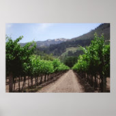 Napa Valley Vineyard Poster (Voorkant)