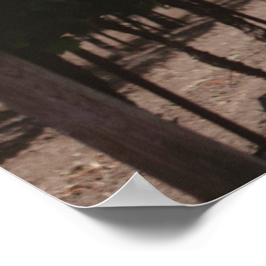 Napa Valley Vineyard Poster (Hoek)