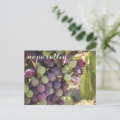 Napa Valley Vineyard Red & Green Grapes Briefkaart (Staand voorkant)