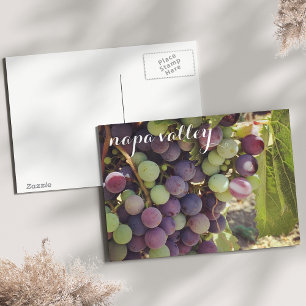 Napa Valley Vineyard Red & Green Grapes Briefkaart