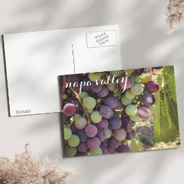 Napa Valley Vineyard Red & Green Grapes Briefkaart
