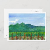 Napa Valley Vineyard Red Roses Waterverf schilderi Briefkaart (Voorkant / Achterkant)