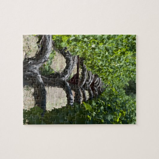 Napa Valley Vineyard Row Legpuzzel (Horizontaal)