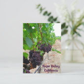 Napa Valley Vineyards Briefkaart! Briefkaart (Staand voorkant)