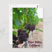 Napa Valley Vineyards Briefkaart! Briefkaart (Voorkant / Achterkant)