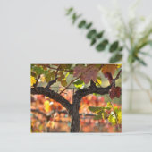 Napa Valley Wijngaard in Californië Briefkaart (Staand voorkant)