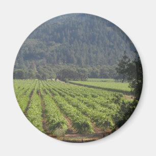 Napa Valley Wijngaarden I Magneet