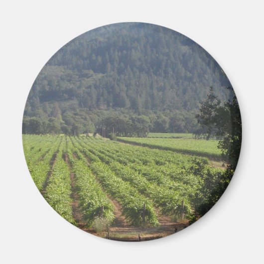 Napa Valley Wijngaarden I Magneet (Voorkant)