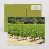 Napa Valley Winery Vineyard Briefkaart (Voorkant / Achterkant)