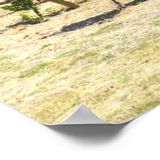 Napa Valley Winery Vineyard Poster (Hoek)