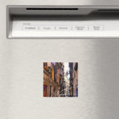 Napels Alley (Napels) Magneet (Insitu (Vaatwasser))