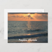 Napels Beach, Florida Sunset Briefkaart (Voorkant / Achterkant)