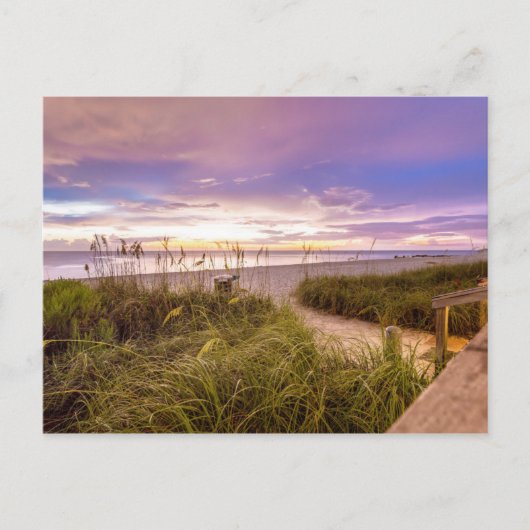 Napels Beach Shore and Calm Ocean | Florida Briefkaart (Voorkant)