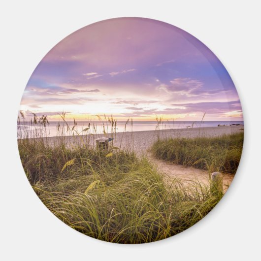 Napels Beach Shore and Calm Ocean | Florida Magneet (Voorkant)