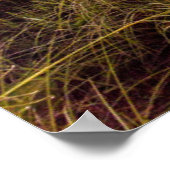 Napels Beach Shore and Calm Ocean | Florida Poster (Hoek)