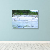 Napels, FL White Ibis Vogels Wandelen op het stran Canvas Afdruk (Insitu (Houten vloer))
