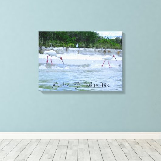 Napels, FL White Ibis Vogels Wandelen op het stran Canvas Afdruk (Insitu (Houten vloer))