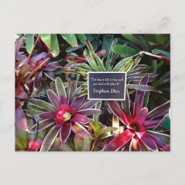 Napels Florida Botanische Garden Stephen Dias Quot Briefkaart