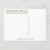 Napels Florida Botanische Garden - T Rex Dinosaur Briefkaart (Achterkant)