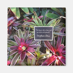 Napels Florida Botanische tuin Stephen Dias Quote Magneet