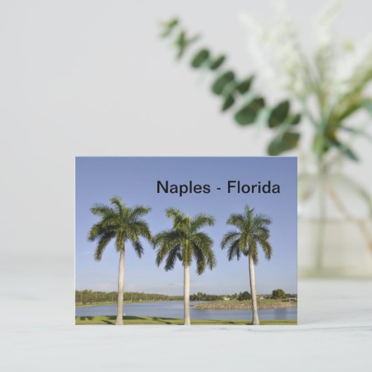 Napels Florida Briefkaart (Staand voorkant)