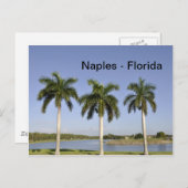 Napels Florida Briefkaart (Voorkant / Achterkant)