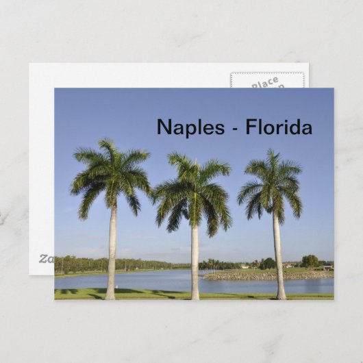 Napels Florida Briefkaart (Voorkant / Achterkant)