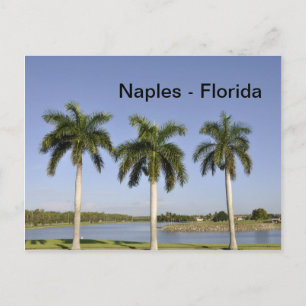 Napels Florida Briefkaart