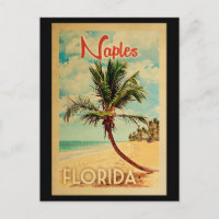 Napels Florida Briefkaart Palm Tree Beach