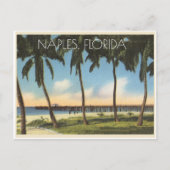  Napels, uitzicht van Florida van de Golf Briefkaart (Voorkant)