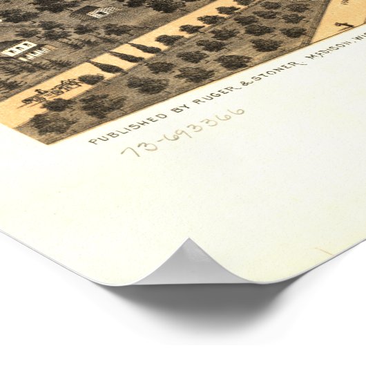 Naperville Illinois 1869 Antiek Panoramic Map Poster (Hoek)