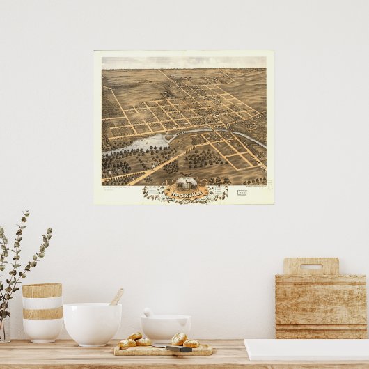 Naperville Illinois 1869 Antiek Panoramic Map Poster (Keuken)