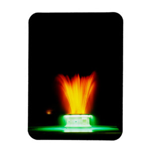 Napier NZ-fontein Magneet