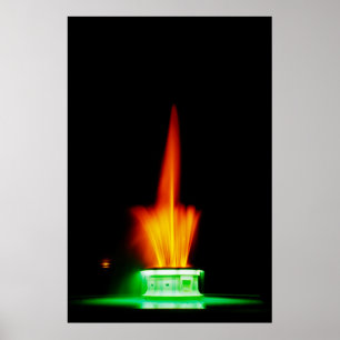 Napier NZ-fontein Poster