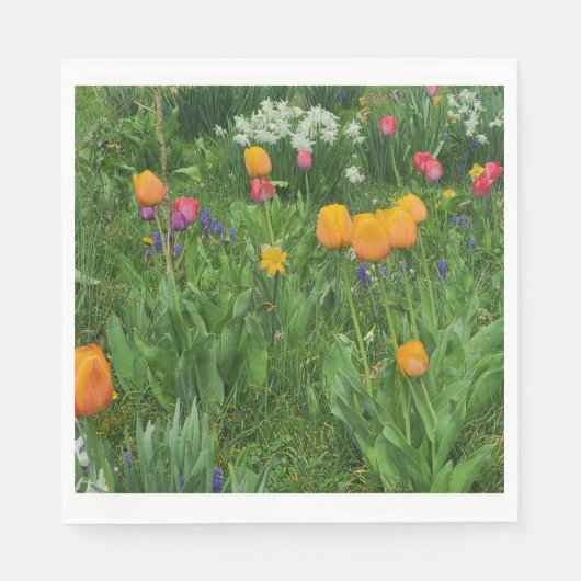 Napkins Servet (Voorkant)