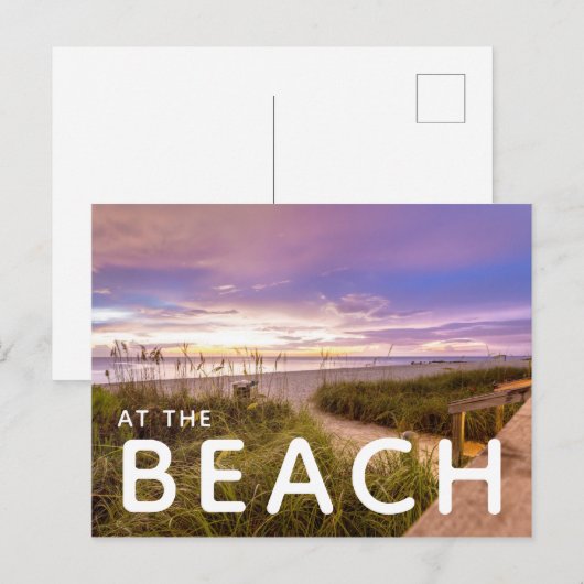 Naples Beach Florida Briefkaart (Voorkant / Achterkant)