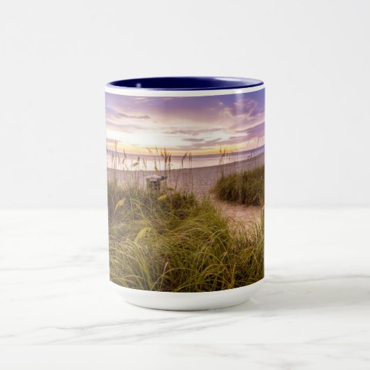 Naples Beach Florida Mok (Midden)