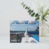 NAPLES, FL Cute Seagull Print Beach Briefkaart (Staand voorkant)