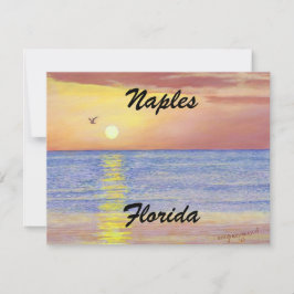 NAPLES, FLORIDA FLAT-KAART