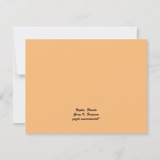 NAPLES, FLORIDA FLAT-KAART (Achterkant)