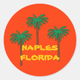 NAPLES FLORIDA palmboom sticker