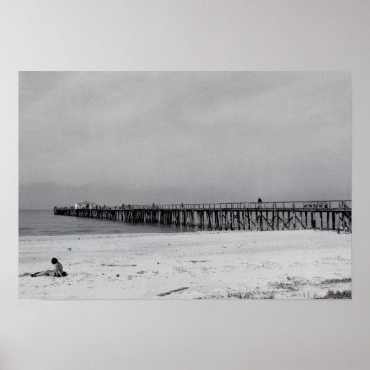 Naples Florida Pier Poster (Voorkant)