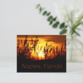 Naples Florida Sunset Briefkaart (Staand voorkant)