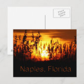 Naples Florida Sunset Briefkaart (Voorkant / Achterkant)